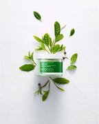 Bio-Peel Gauze Peeling Green Tea Physical NEOGEN 