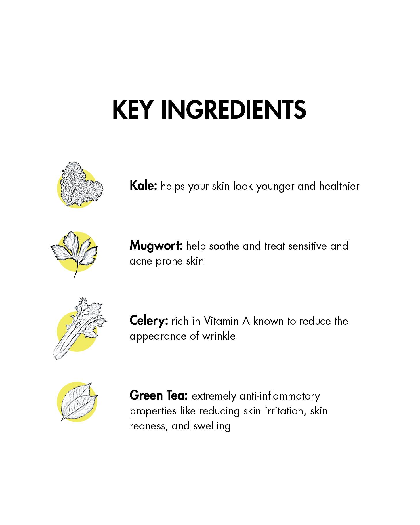 A New Leaf Cream Cleanser Water Cleanser Good Days For All 