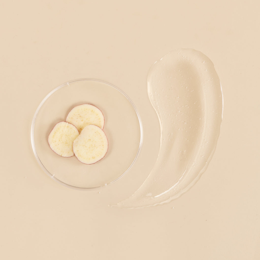 the klog Snail Mucin Energy Essence 