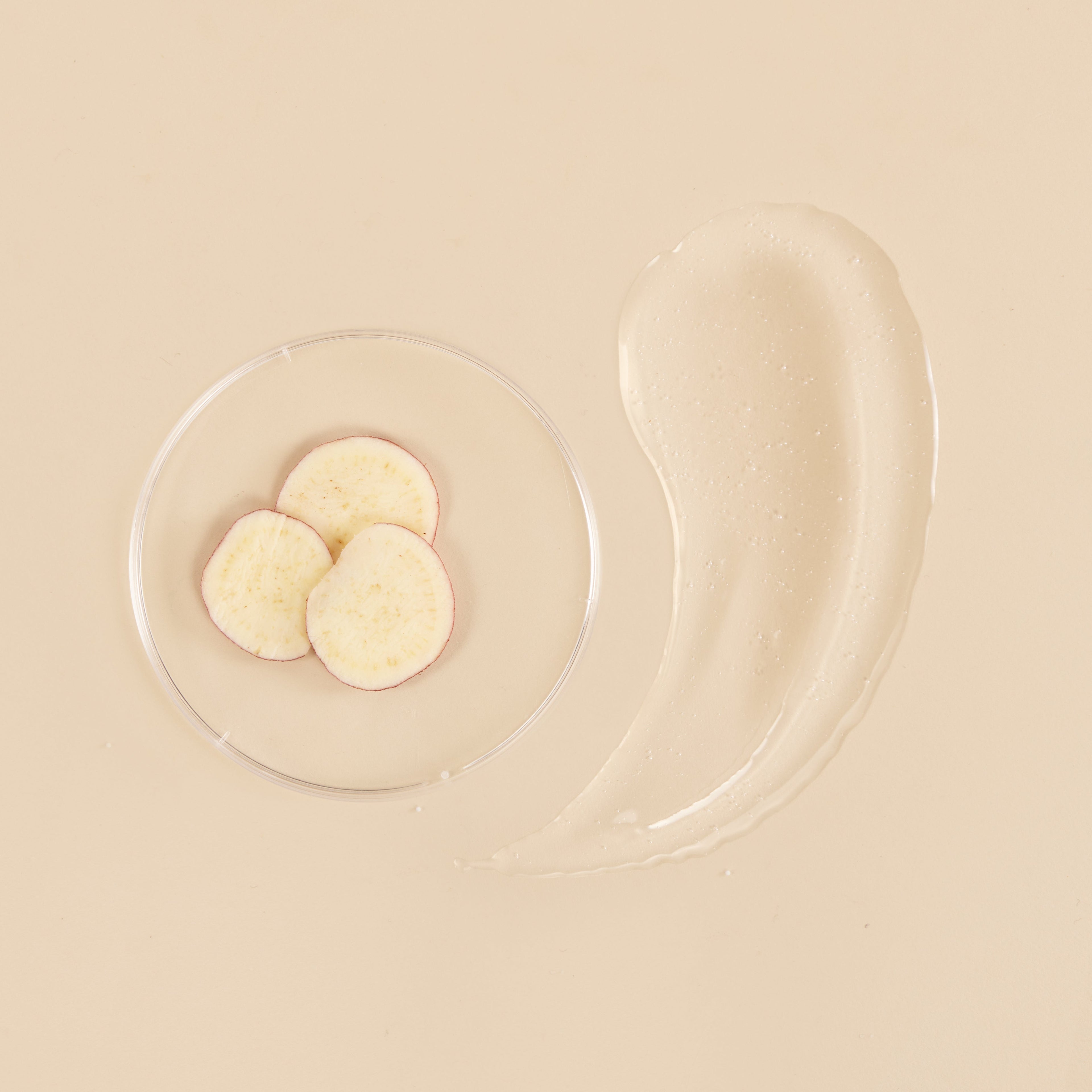 the klog Snail Mucin Energy Essence 